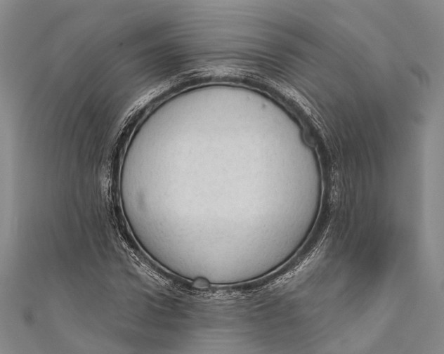 X0000110980922200907101406