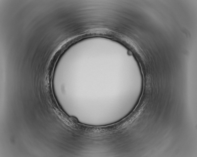 X0000110980923200907101406