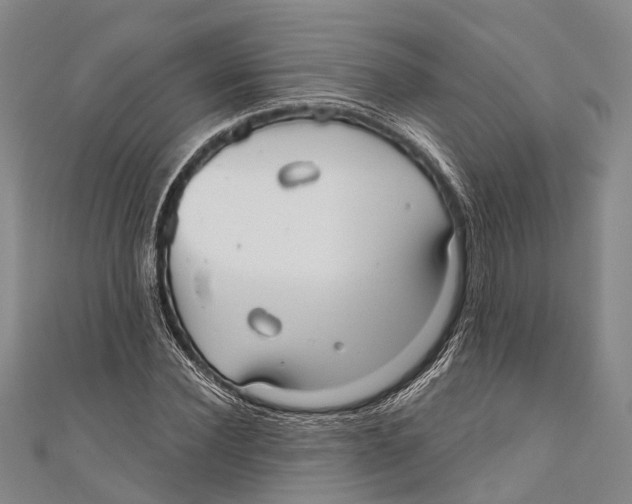 X0000110980924200907101407