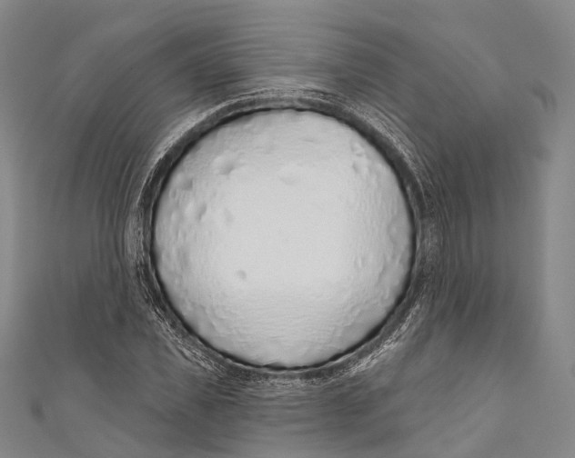 X0000110980925200907101407