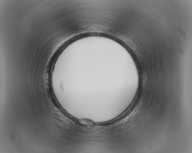 X0000110980926200907101407