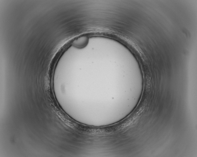 X0000110980927200907101407