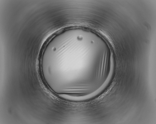 X0000110980928200907101407