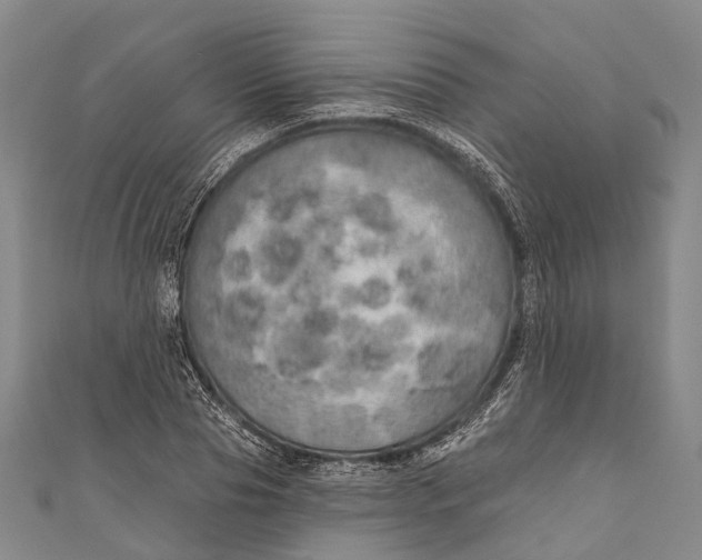 X0000110980929200907101407