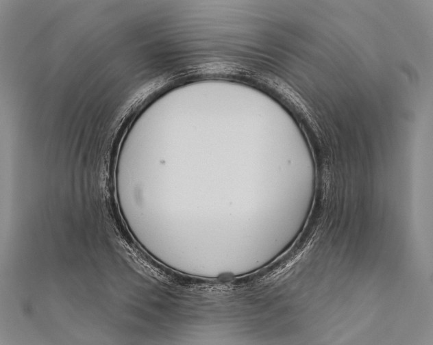 X0000110980930200907101407