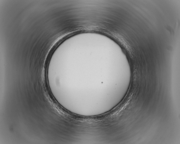 X0000110980932200907101407