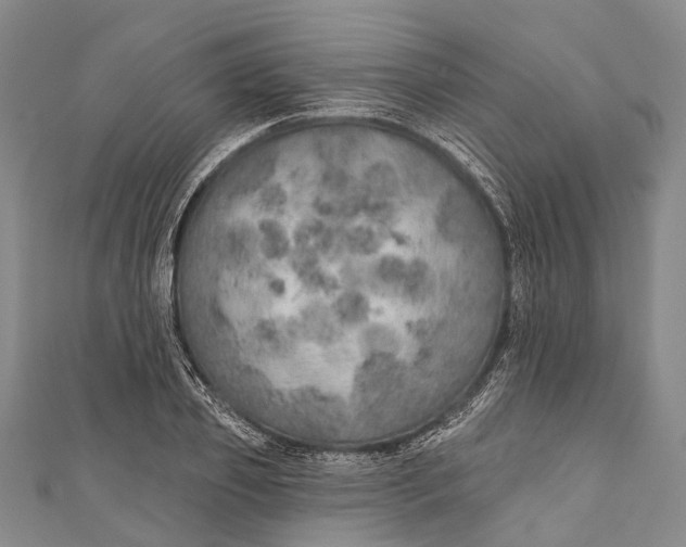 X0000110980933200907101407