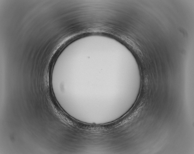 X0000110980934200907101407