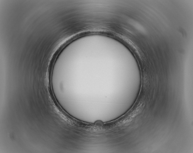 X0000110980935200907101407