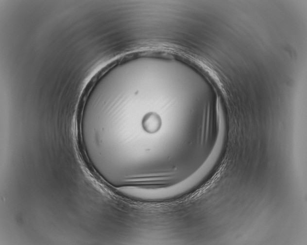 X0000110980936200907101407