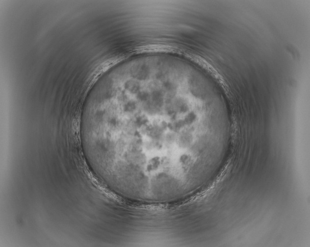 X0000110980937200907101407