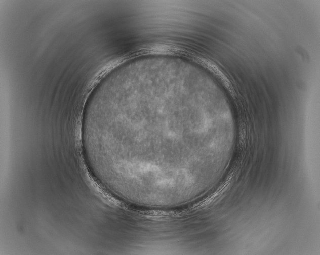 X0000110980938200907101407