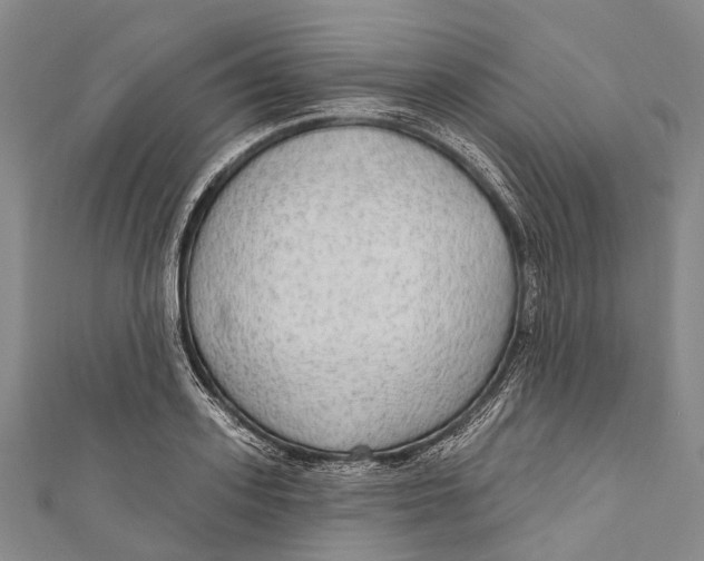 X0000110980939200907101407