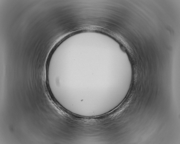 X0000110980940200907101407