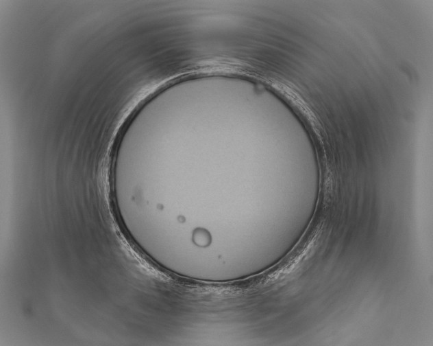 X0000110980941200907101407