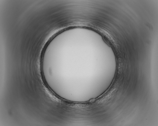 X0000110980942200907101407