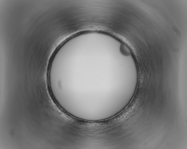 X0000110980943200907101407