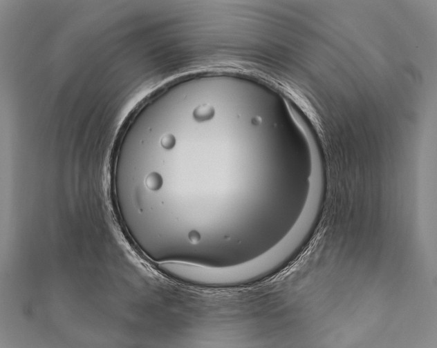 X0000110980944200907101407