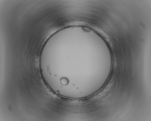 X0000110980945200907101407