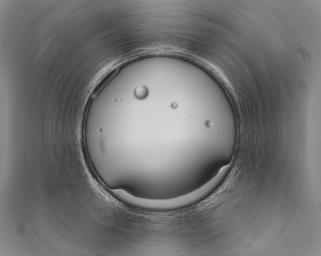 X0000110980946200907101407