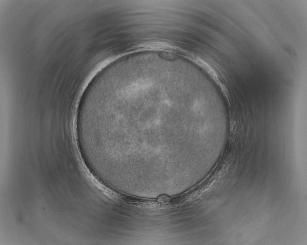 X0000110980947200907101407