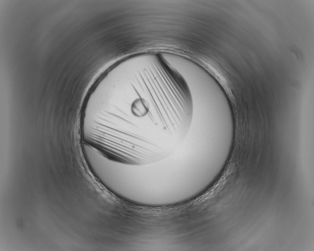 X0000110980948200907101407