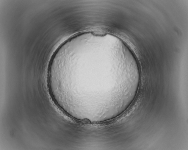 X0000110980949200907101407