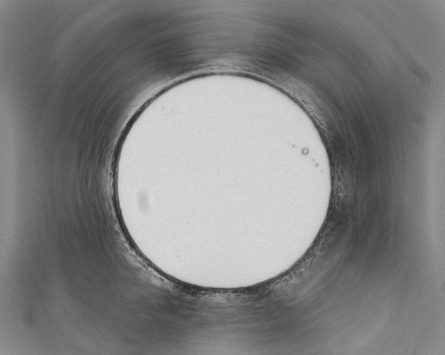 X0000110980950200907101407