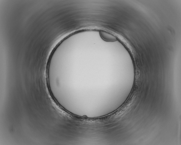 X0000110980951200907101407