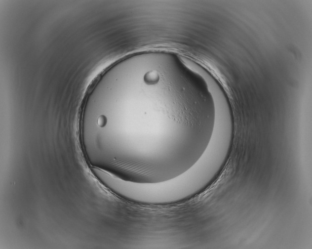 X0000110980952200907101407