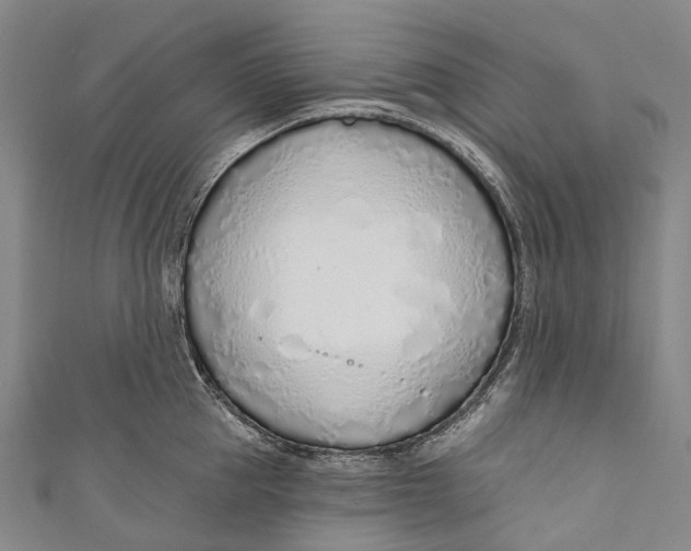 X0000110980953200907101407