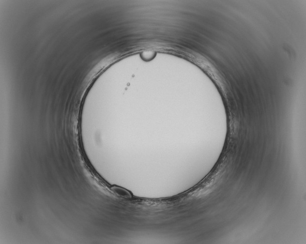 X0000110980954200907101407