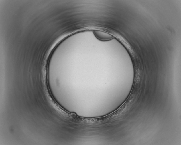 X0000110980955200907101407