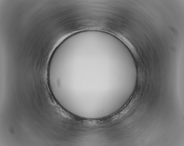 X0000110980956200907101407