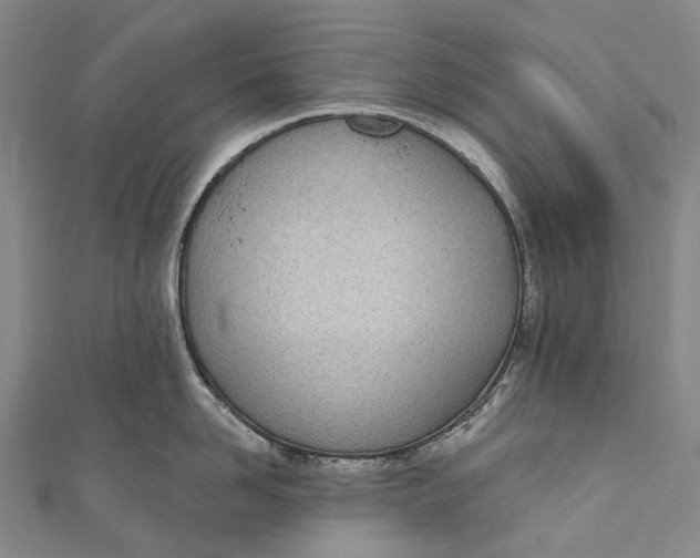 X0000110980958200907101407