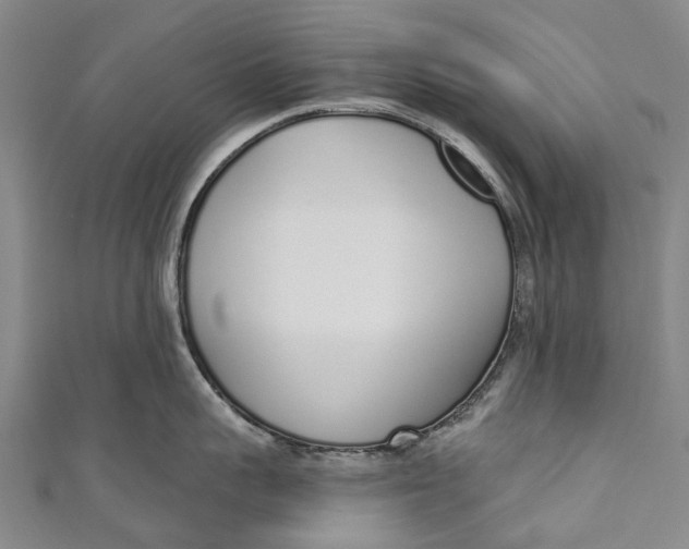 X0000110980959200907101407