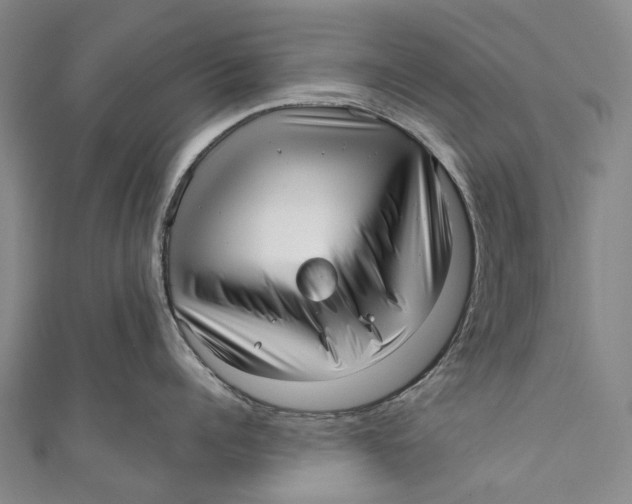 X0000110980960200907101407