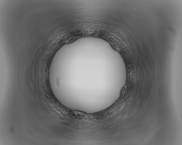 X0000110980961200907101406