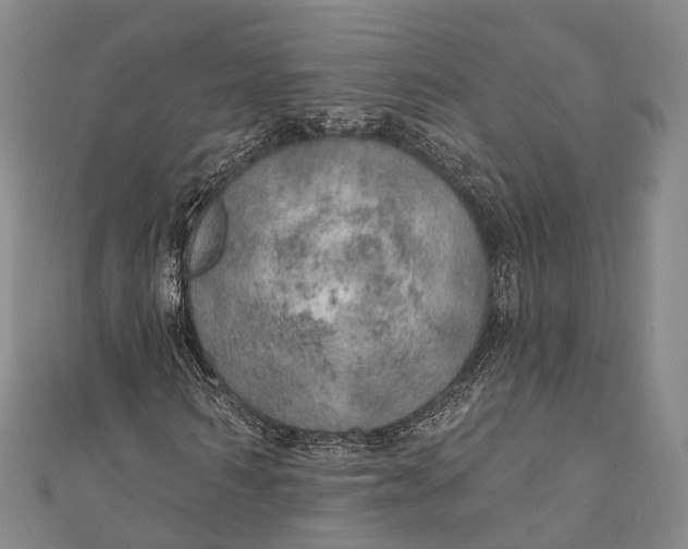 X0000110980962200907101406