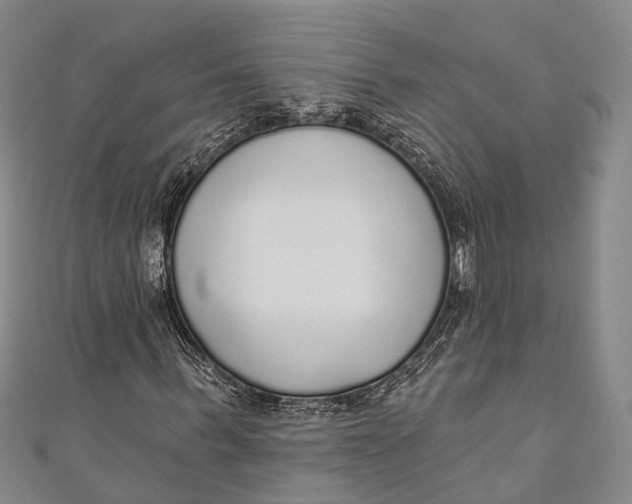 X0000110980963200907101406