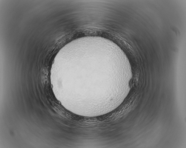 X0000110980964200907101406