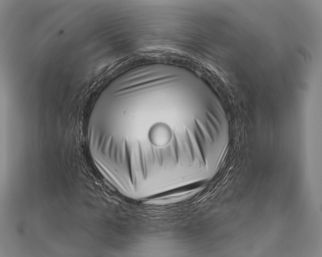 X0000110980965200907101406