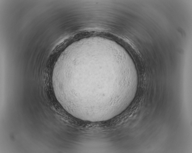 X0000110980967200907101406