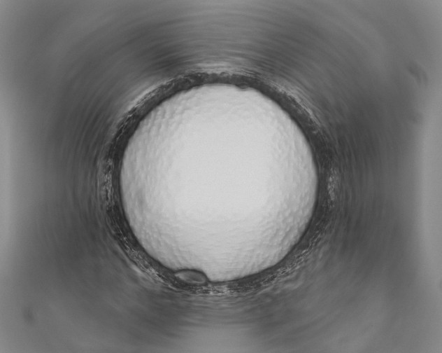 X0000110980968200907101406