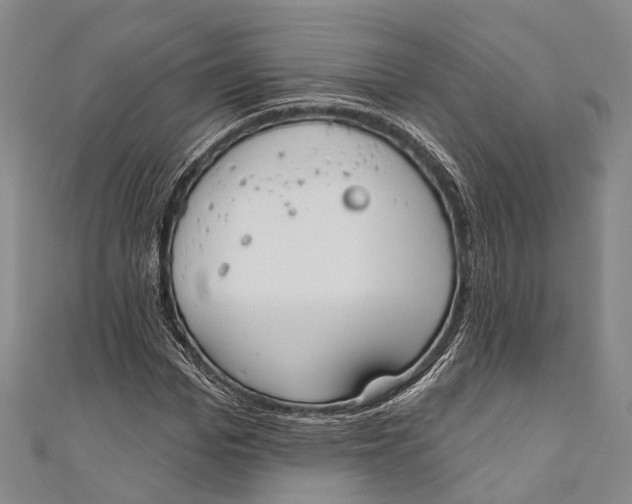 X0000110980969200907101406