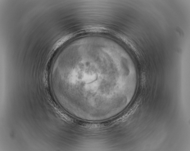 X0000110980970200907101406