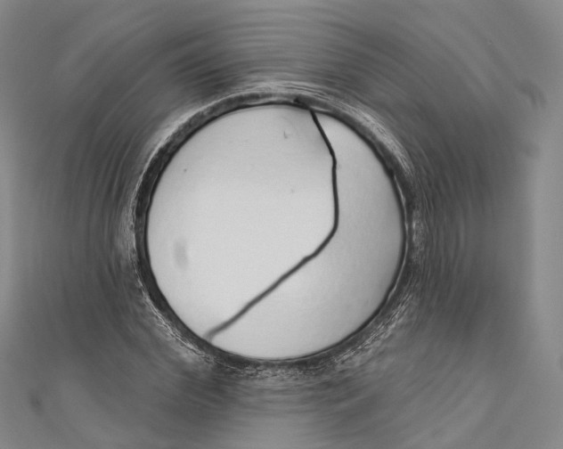 X0000110980972200907101406