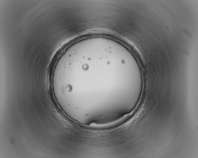 X0000110980973200907101406