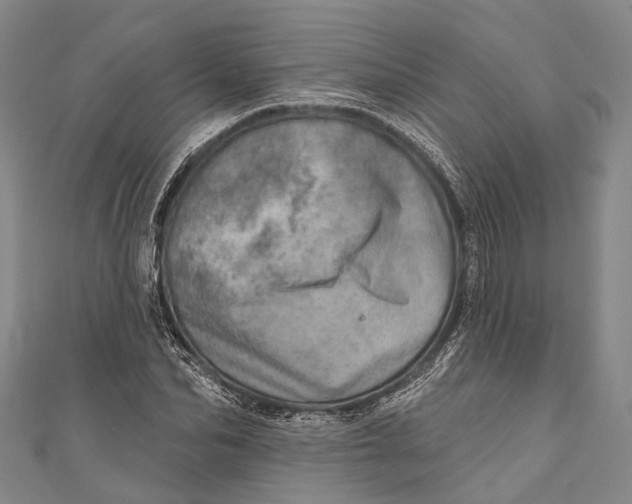 X0000110980974200907101406