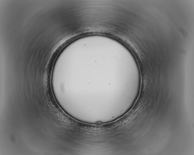 X0000110980975200907101406